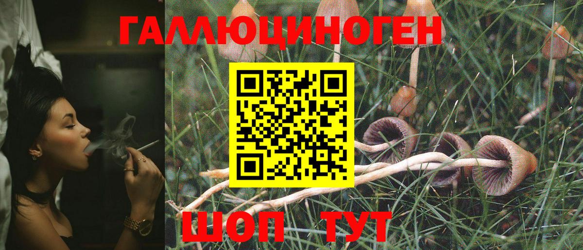 Псилоцибиновые грибы MAGIC MUSHROOMS Зерноград