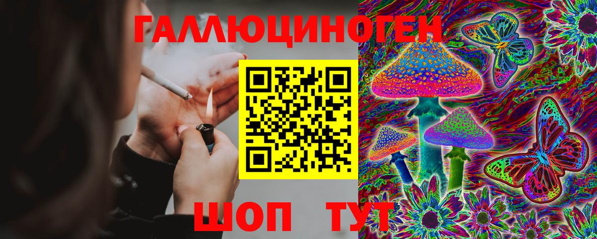 Псилоцибиновые грибы мицелий  Вход с VPN  Зерноград 